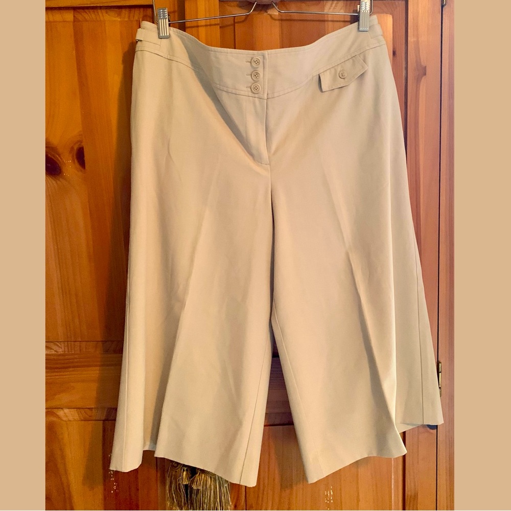 Ann Taylor Wide Leg Gaucho Pants